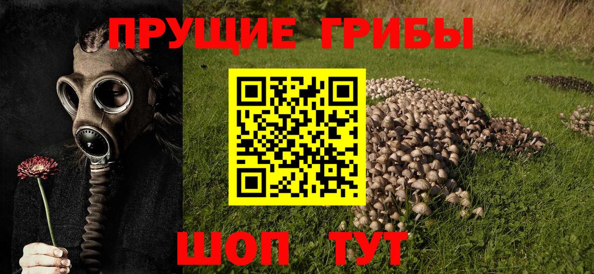 Валуйки  Галлюциногенные грибы Magic Shrooms  Вход с VPN 